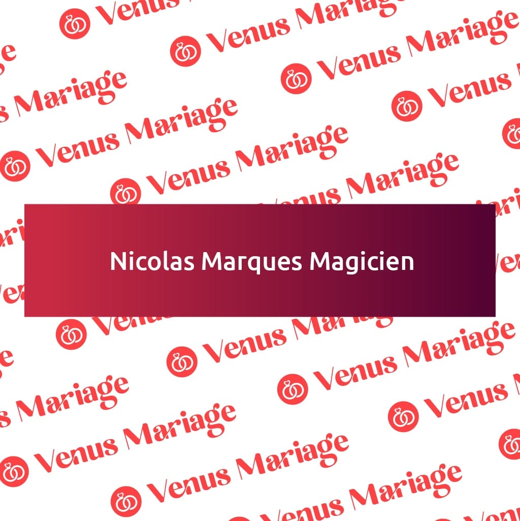 logo nicolas marques magicien.jpeg