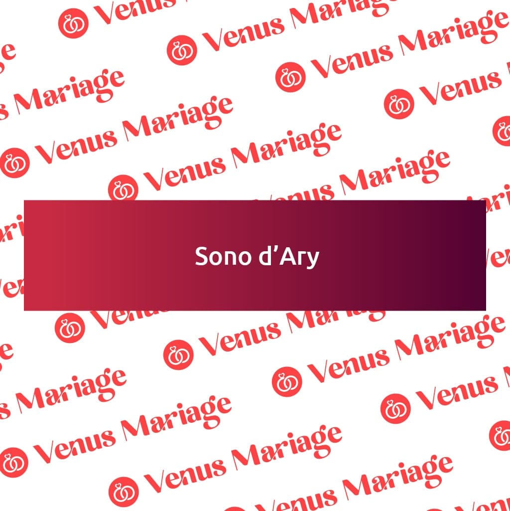 logo sono d ary